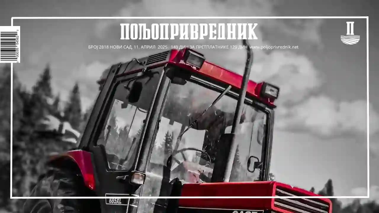 Mraz koji briše nade, mladi koji vraćaju veru, i krompir koji nestaje sa srpskih njiva