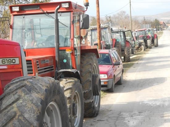 Vlada i poljoprivrednici postigli dogovor o ceni suncokreta…