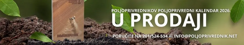 PPK2026